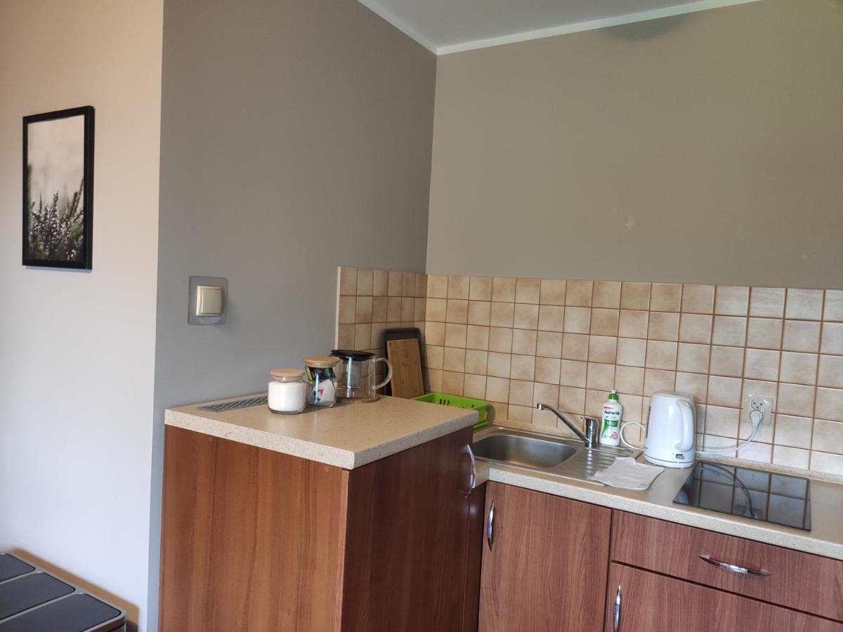 Apartamenty Madzia Висла Екстериор снимка